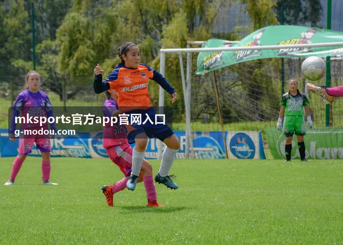 mksports官方App账号登录与安全保护说明封面